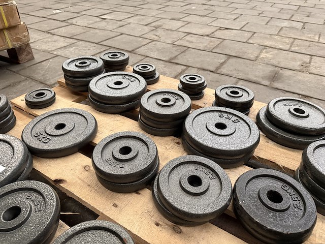 Pallet halterschijven gietijzer - afbeelding 4 van  9