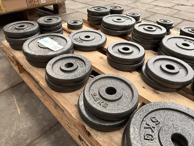 Pallet halterschijven gietijzer - afbeelding 6 van  9