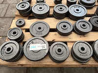 Pallet halterschijven gietijzer - afbeelding 7 van  9