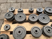 Pallet halterschijven gietijzer - afbeelding 8 van  9