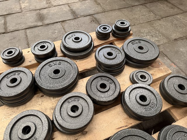 Pallet halterschijven gietijzer - afbeelding 9 van  9