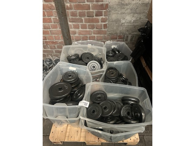 Pallet halterschijven gietijzer - afbeelding 3 van  9