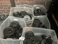 Pallet halterschijven gietijzer - afbeelding 3 van  9