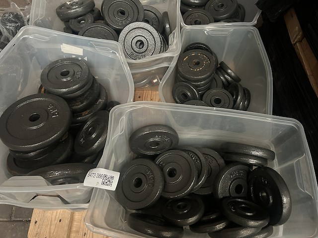 Pallet halterschijven gietijzer - afbeelding 4 van  9