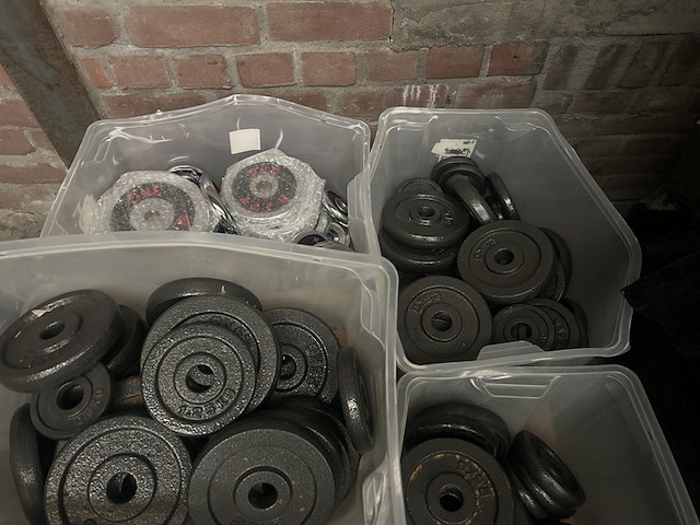 Pallet halterschijven gietijzer - afbeelding 5 van  9