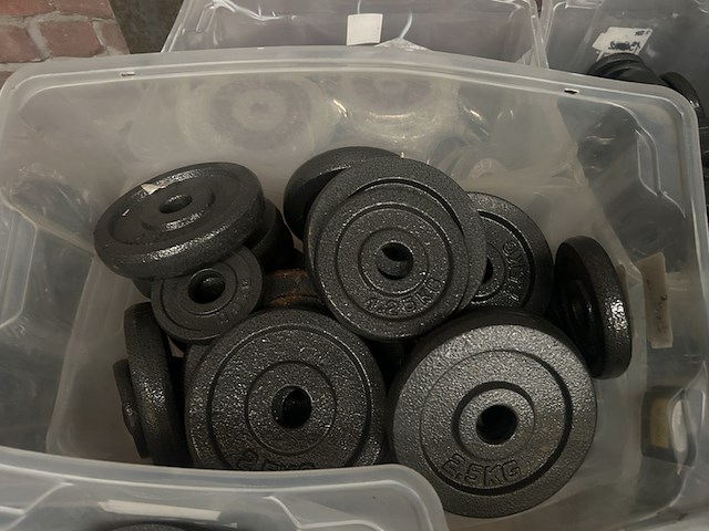 Pallet halterschijven gietijzer - afbeelding 6 van  9