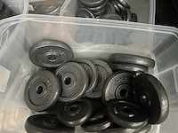 Pallet halterschijven gietijzer - afbeelding 7 van  9