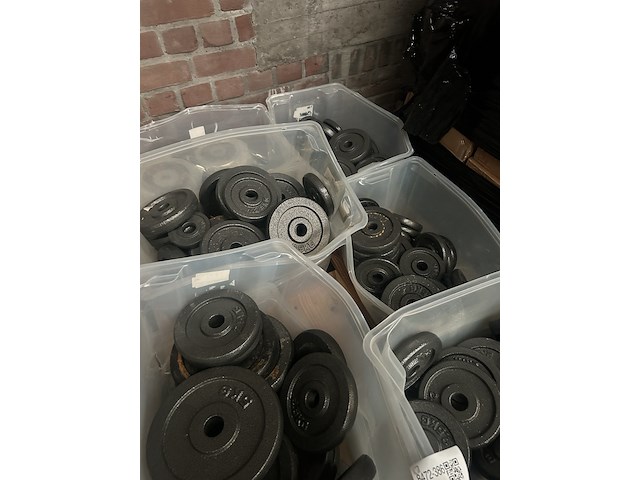 Pallet halterschijven gietijzer - afbeelding 9 van  9