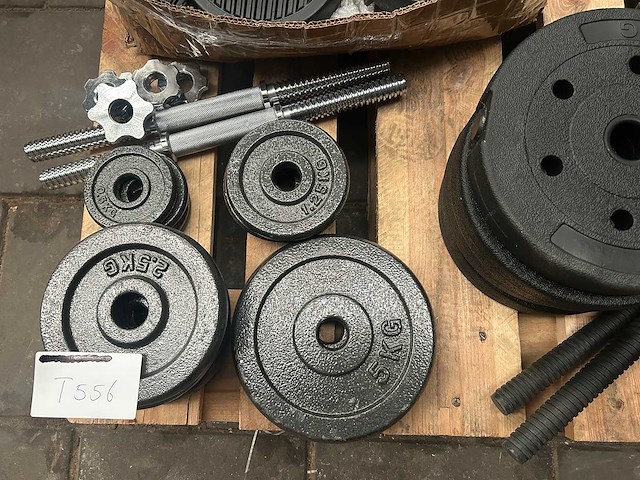 Pallet halterschijven - afbeelding 2 van  7