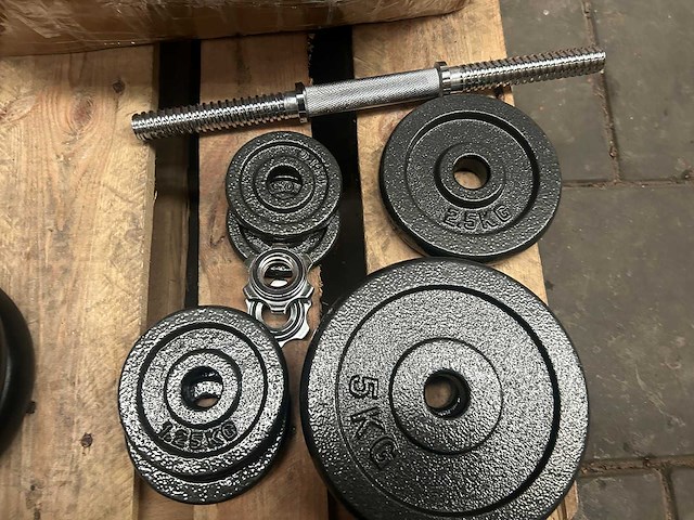 Pallet halterschijven - afbeelding 5 van  7