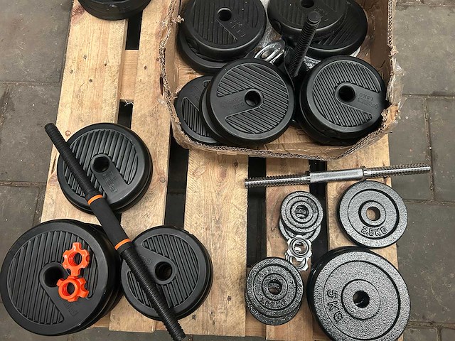 Pallet halterschijven - afbeelding 6 van  7