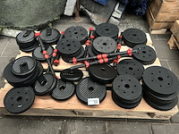 Pallet halterschijven - afbeelding 1 van  6