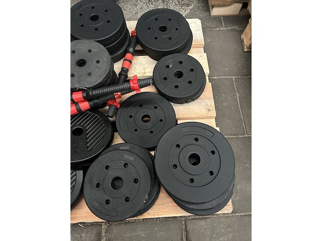 Pallet halterschijven - afbeelding 2 van  6