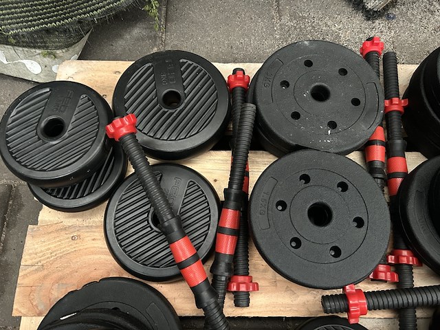 Pallet halterschijven - afbeelding 3 van  6