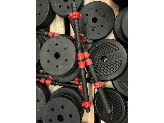 Pallet halterschijven - afbeelding 5 van  6