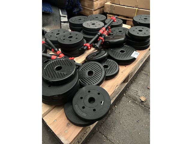 Pallet halterschijven - afbeelding 6 van  6