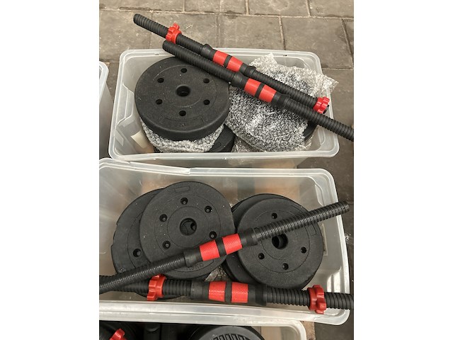 Pallet halterschijven - afbeelding 3 van  7