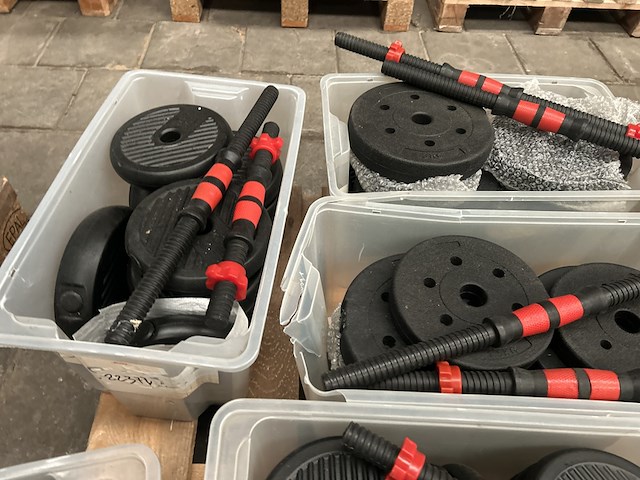 Pallet halterschijven - afbeelding 6 van  7