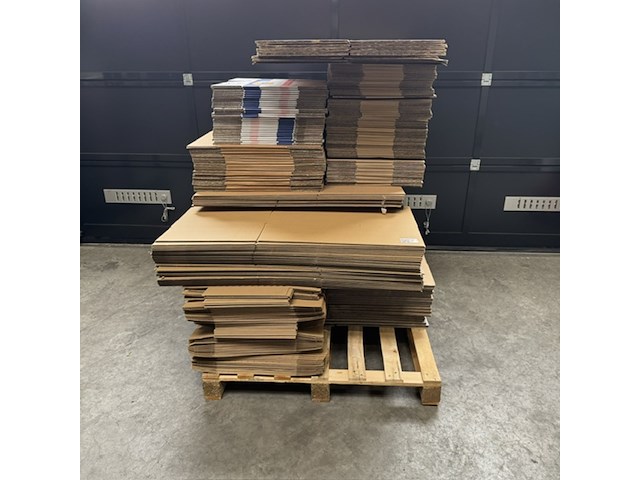 Pallet kartonnen dozen - afbeelding 1 van  5