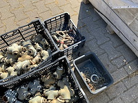 Pallet met aanvoerslangen en koppelingen (2x) - afbeelding 9 van  12