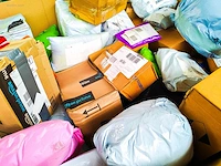 Pallet postpakketten 147 kg - afbeelding 11 van  12