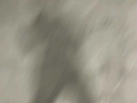 Pallet retourgoederen - afbeelding 1 van  3
