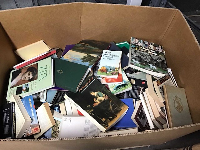 Palletdoos met boeken - afbeelding 1 van  1