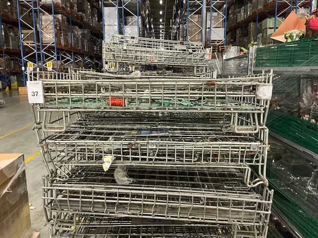 Palletkooi (100x) - afbeelding 3 van  3