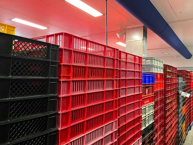 Pallets diverse kratten (18x) - afbeelding 1 van  11