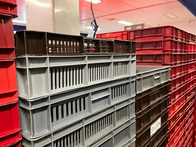 Pallets diverse kratten (18x) - afbeelding 3 van  11