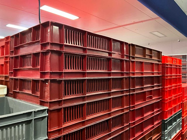 Pallets diverse kratten (18x) - afbeelding 4 van  11