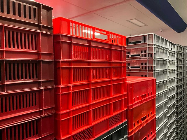 Pallets diverse kratten (18x) - afbeelding 5 van  11
