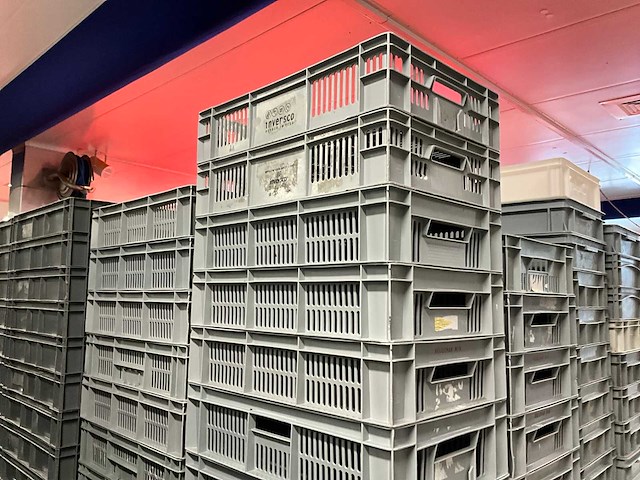 Pallets diverse kratten (18x) - afbeelding 6 van  11
