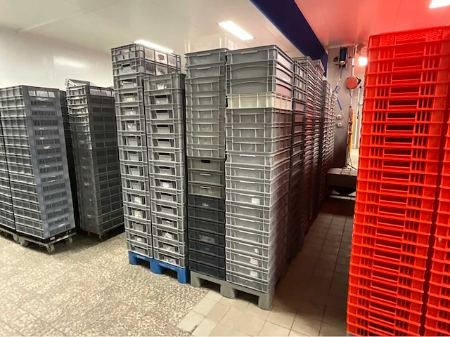 Pallets diverse kratten (18x) - afbeelding 8 van  11