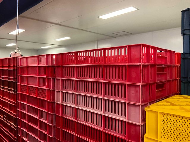 Pallets diverse kratten (18x) - afbeelding 10 van  11