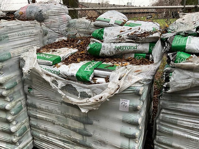 Pallets potgrond (2x) - afbeelding 2 van  3