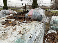 Pallets potgrond (2x) - afbeelding 3 van  3