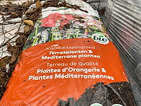 Pallets potgrond (2x) - afbeelding 2 van  2