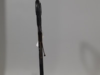 Palletwagen, ravas - afbeelding 4 van  12