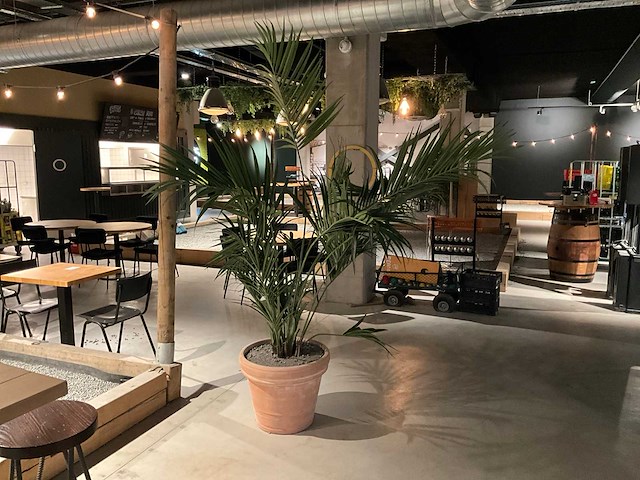 Palm kunstplant met pot - afbeelding 1 van  3