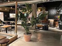 Palm kunstplant met pot - afbeelding 1 van  3