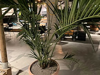 Palm kunstplant met pot - afbeelding 2 van  3