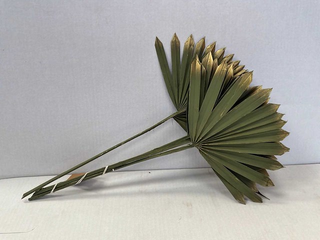Palm sun green / gold decoratief palmblad (864x) - afbeelding 1 van  2