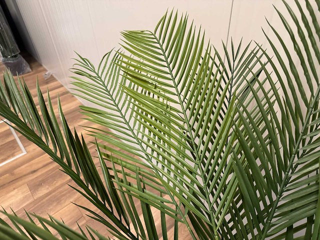 Palm tree kunstplant (150cm hoog) - afbeelding 3 van  13