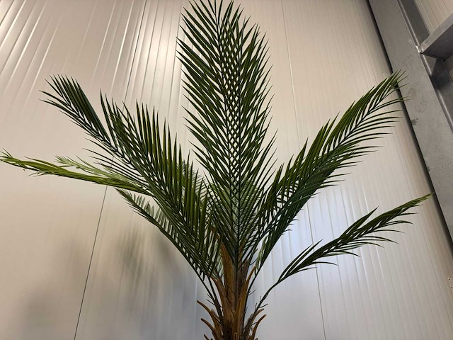 Palm tree kunstplant (150cm hoog) - afbeelding 7 van  13