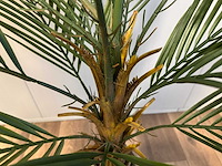 Palm tree kunstplant (150cm hoog) - afbeelding 9 van  13