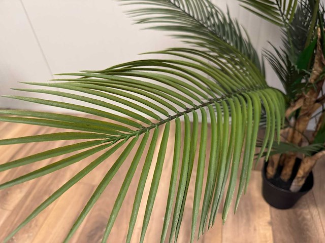 Palm tree kunstplant (165cm hoog) - afbeelding 7 van  17