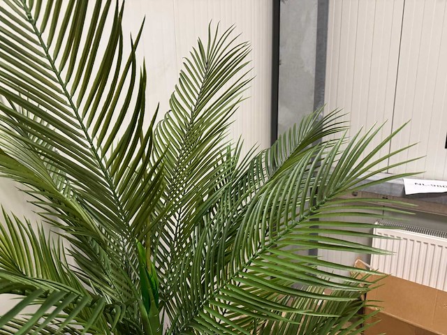 Palm tree kunstplant (165cm hoog) - afbeelding 16 van  17