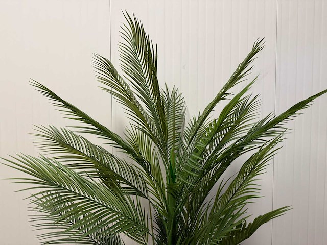 Palm tree kunstplant (165cm hoog) - afbeelding 3 van  17