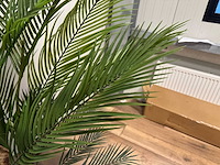 Palm tree kunstplant (165cm hoog) - afbeelding 7 van  17